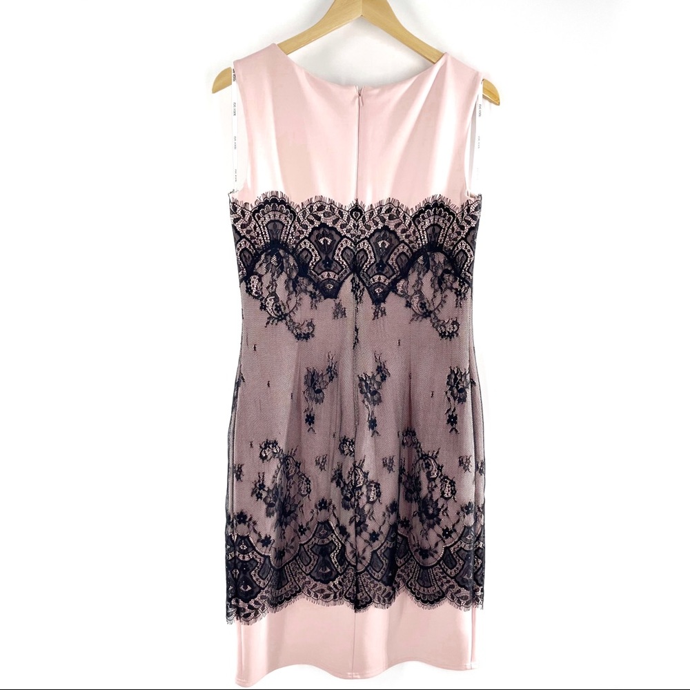 Tadashi Shoji Neoprene Lace Overlay Dress 12